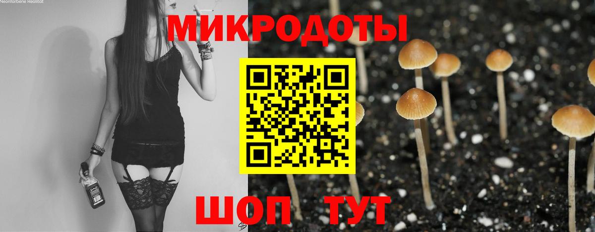 Алексин  Псилоцибиновые грибы GOLDEN TEACHER  Галлюциногенные грибы мицелий  Вход с VPN 